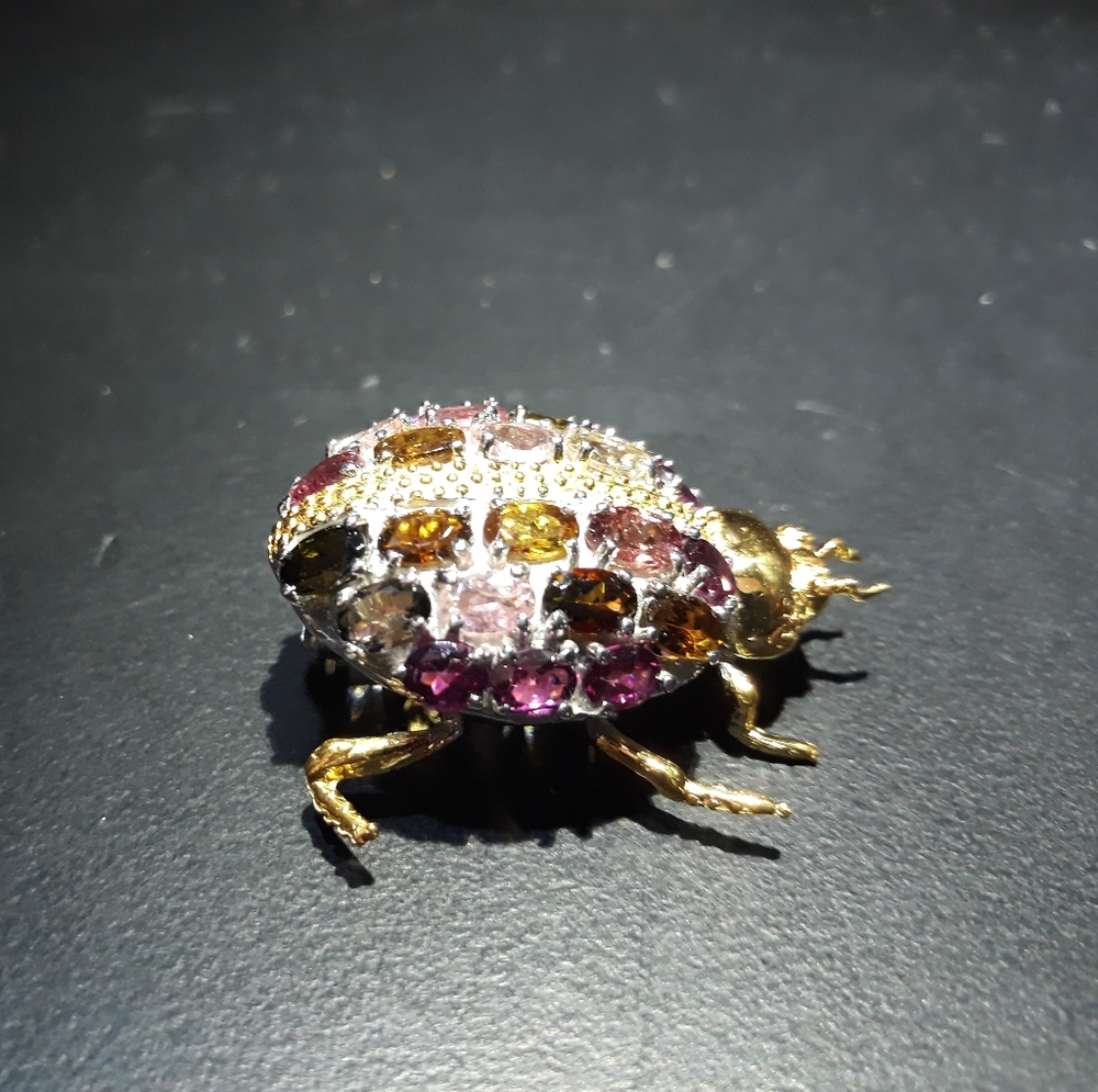 Sterling Silver Critter Brooch F10